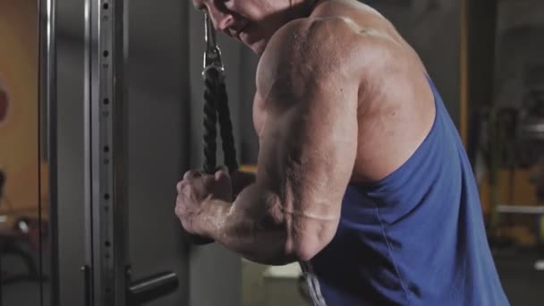 Bodybuilder Sportschool Trein Wapens Triceps Spieren Met Behulp Van Kabel — Stockvideo