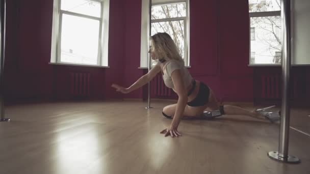 Pole Dance. Baile exótico. Mujer atractiva realiza danza sensual — Vídeos de Stock