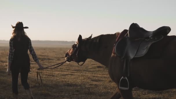 Молода дівчина ходить по її темному красивому коні на схід сонця . — стокове відео