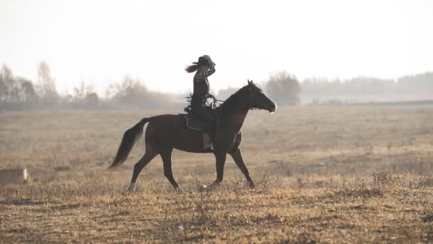 Красивая женщина верхом на лошади на поле восхода солнца. Молодая ковбойша на коричневой лошади — стоковое видео