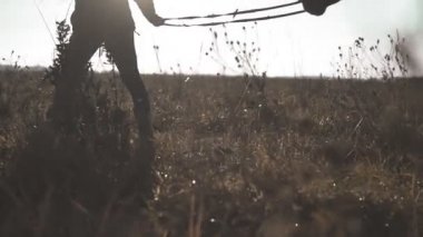 Güzel güçlü atı ile yürüyüş ve çayır sahada sabah bakan kadın