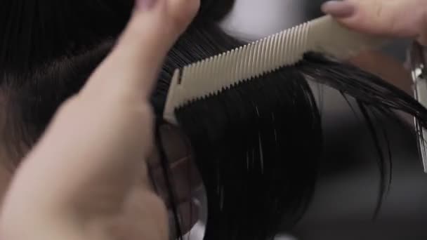 Parrucchiere femminile pettinare i capelli al rallentatore. Chiudete. Salone di bellezza — Video Stock