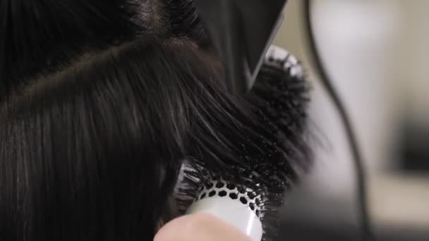 Joven mujer recibiendo su pelo en la peluquería. Estilista femenina con secador de pelo — Vídeo de stock