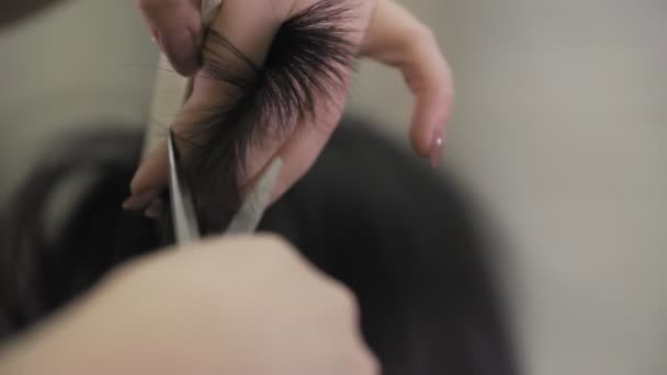 Les Ciseaux Coupent Les Cheveux Des Filles Ralenti Coiffeur Couper — Video