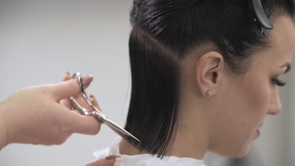 Kapper knippen haren met een schaar. Schoonheidssalon. — Stockvideo