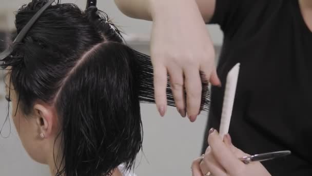 Женский парикмахер держит в руке между пальцами прядь волос, расческу и ножницы — стоковое видео