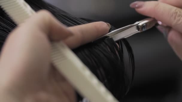 Profissional estilista corte mulher cabelo no salão. Aparar dicas de cabelo por tesoura — Vídeo de Stock