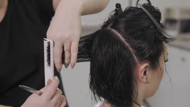 Peluquería femenina sostener en la mano entre los dedos mechón de pelo, peine y tijeras — Vídeo de stock