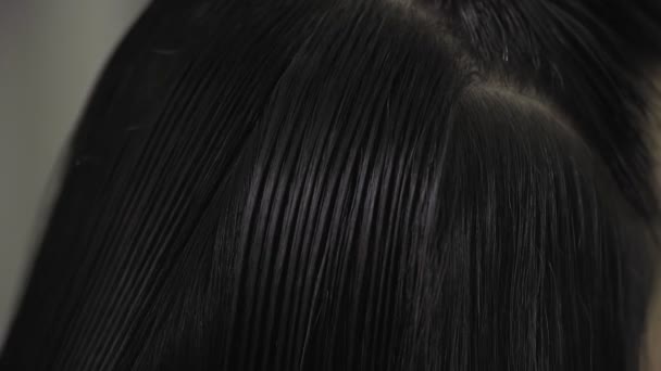 Femme coiffeur tenir dans la main entre les doigts serrure de cheveux, peigne et ciseaux — Video