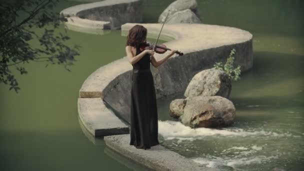 Mooi meisje in jurk speelt viool buitenshuis. Elegante violist in bos — Stockvideo