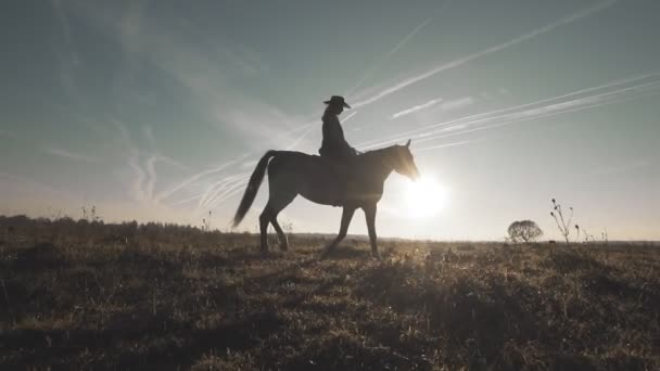 Siluett av kvinna rider hästen i fältet. Vackra cowgirl på brun häst — Stockvideo