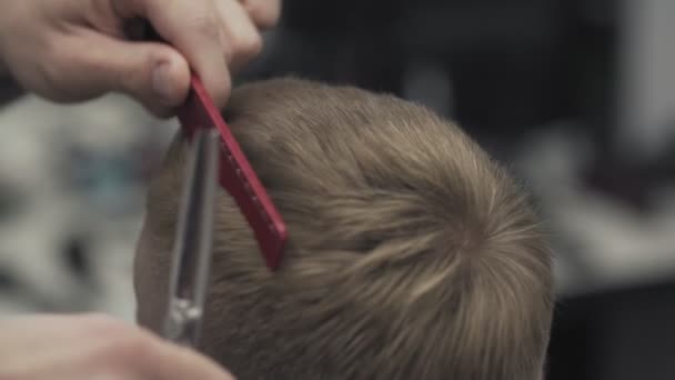 Close up barbeiro corta cabelo com tesoura. masculino penteado no barbeiro loja — Vídeo de Stock