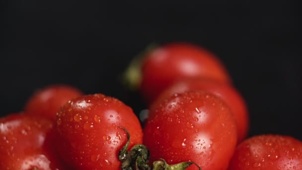 Extrême gros plan tomates avec des gouttes d'eau. Faites glisser vers le bas — Video