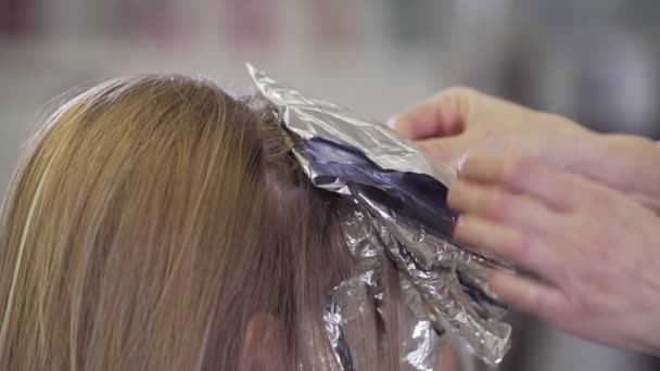 Cabeleireiro estilista faz coloração de cabelo. Coloração profissional e cuidado do cabelo — Vídeo de Stock
