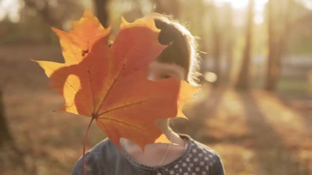 Маленькая девочка прячет лицо за кленовым листом в осеннем парке . — стоковое видео