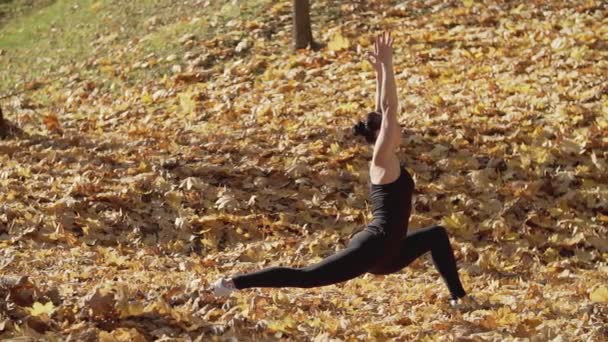 Vacker Smal Kvinna Som Tränar Yoga Höst Parken Brunette Girl — Stockvideo