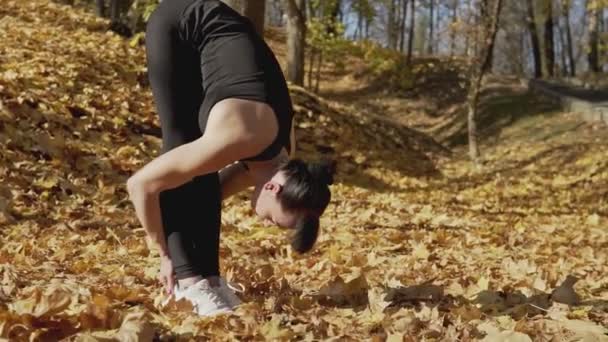 运动女性在秋季公园进行体能训练前热身 年轻女子在户外运动慢动作 运动员妇女做伸展运动的中等镜头在夏季公园与复制空间 — 图库视频影像