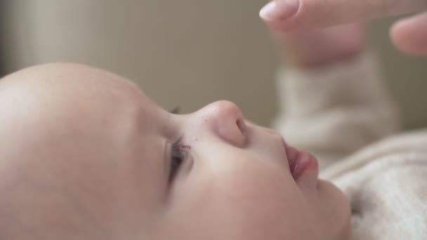 Madre Tocando Pequeña Nariz Bebé Con Amor Cámara Lenta Vista — Vídeos de Stock