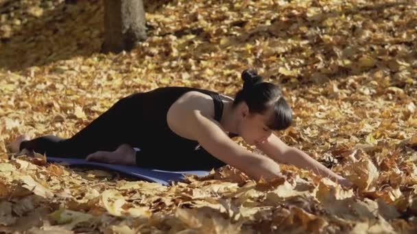 Joven Chica Delgada Atractiva Traje Cuerpo Haciendo Ejercicios Mujer Practicando — Vídeo de stock