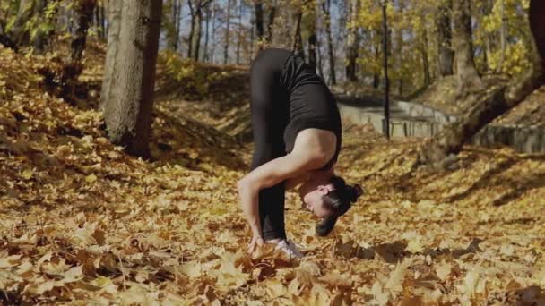 Sonbahar Parkında Fitness Eğitim Oturumu Öncesi Genç Kadın Egzersiz Sağlıklı — Stok video