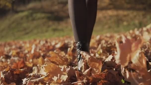 Las Piernas Mujer Pateando Hojas Otoño Cámara Lenta Vista Cerca — Vídeos de Stock