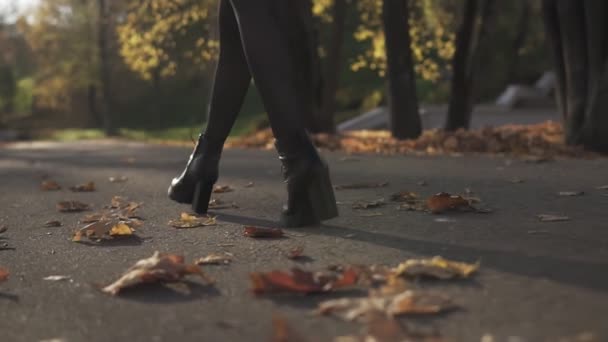 Mooi Meisje Roze Jasje Wandelen Herfst Park Slow Motion Portret — Stockvideo