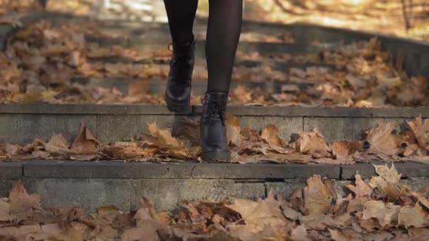 スローモーションで秋の公園の階段を歩く女の子 クローズアップショット — ストック動画