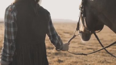 Genç kız gün doğumunda dizginleri ile onu karanlık at yürüyüş alarak. Güzel güçlü at yürüyüş ve yavaş hareket güneşli sabah çayır alanında bakıyor. Yakın çekim görünüm. İzleme kamerası