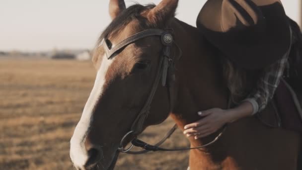 Mulher Suaviza Crina Cavalo Close Fêmea Sentada Cavalo Acaricia Crina — Vídeo de Stock