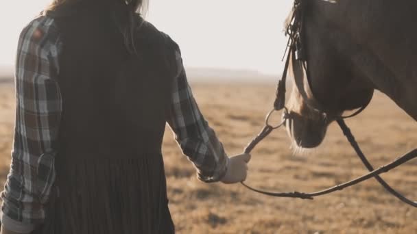 Jong Meisje Nemen Lopen Haar Donker Paard Door Teugels Zonsopgang — Stockvideo