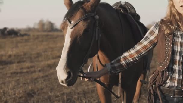 Krásný Mocný Kůň Který Pomalém Ránu Díval Louku Mladá Dívka — Stock video