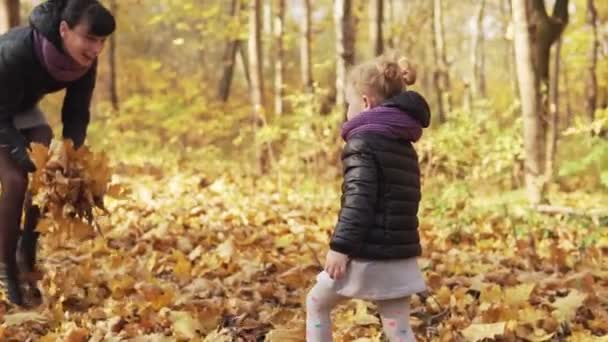 かわいい女の子と母が黄色い秋の葉を投げる 公園で一緒に遊ぶ子供とママ — ストック動画