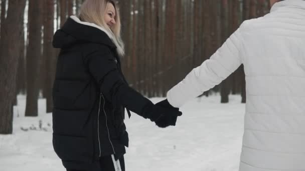 冬の公園を歩く若いカップルの手を閉じます 冬のクリスマスパークを歩き スローモーションで笑顔の愛するカップル — ストック動画