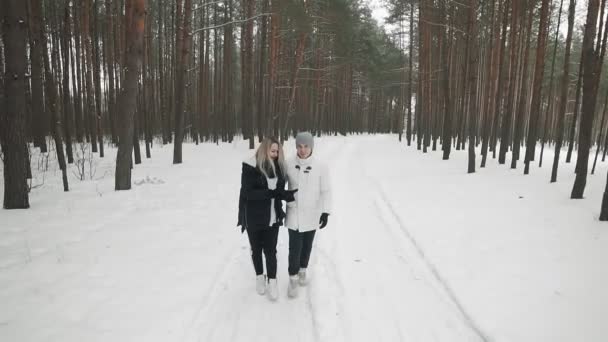 年轻的夫妇走在冬天的公园 爱夫妇走在冬天的圣诞公园和微笑在慢动作 — 图库视频影像