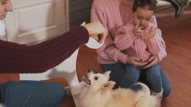 Retrato Familia Sonriente Con Hija Pequeña Perro Sentado Porche Con — Vídeo de stock