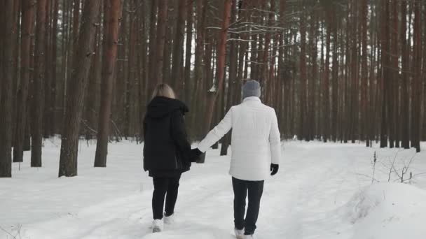 冬の公園を歩いている若いカップル バックビュー スローモーションで冬のクリスマスパークを歩く愛するカップル フルレングスの肖像画 — ストック動画