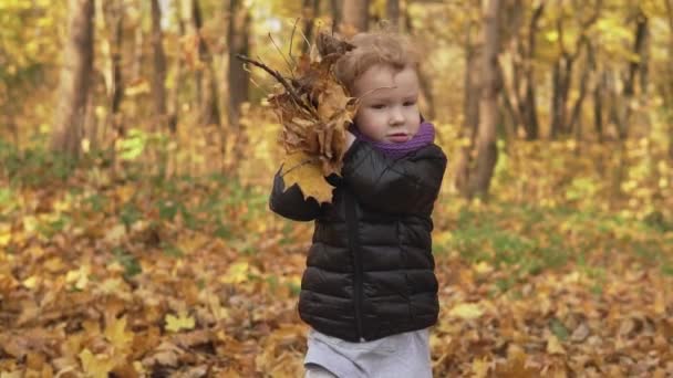 小さな女の子はスローモーションで秋の公園で秋の葉を投げる 屋外で遊ぶ子供のミディアムショット — ストック動画