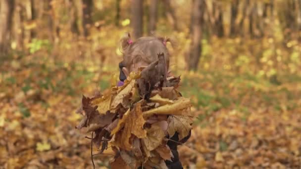 Fetița Aruncă Frunze Toamnă Parcul Toamnă Mișcare Lentă Fotografie Medie — Videoclip de stoc