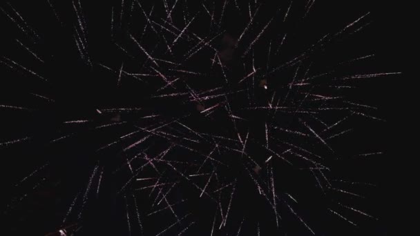 New Year Celebration Fireworks Night Slo — Stock Video