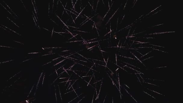 Fogos Artifício Celebração Ano Novo Noite Slo — Vídeo de Stock