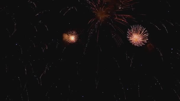 Fuegos Artificiales Celebración Año Nuevo Por Noche Cámara Lenta — Vídeo de stock