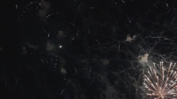 Beautiful Fireworks Holiday Night Slow Motion — Stock Video