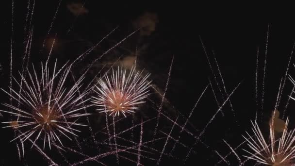 Gyönyörű Tűzijátékok Üdülési Éjjel Lassú Mozgás — Stock videók