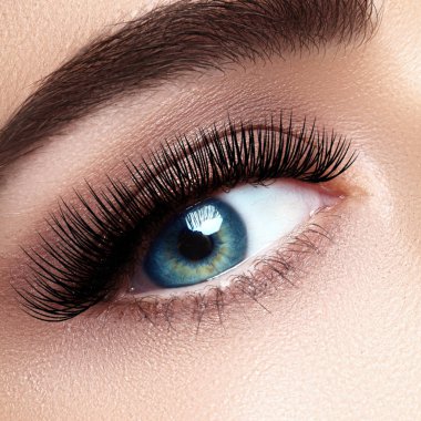 Aşırı uzun kirpik ve siyah liner makyaj kadın göz güzel makro çekim. Mükemmel bir şekil makyaj ve uzun kirpikler. Kozmetik ve makyaj. Closeup makro moda gözleri sima vurdu