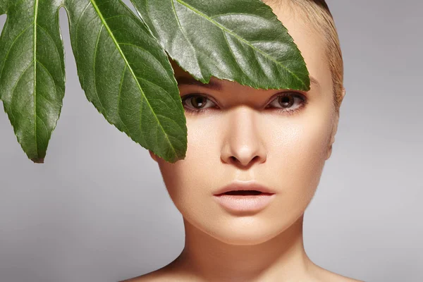 Gyönyörű Vonatkozik Bio Kozmetikai Olajok Szépség Gyógy Wellness Tiszta Bőr — Stock Fotó