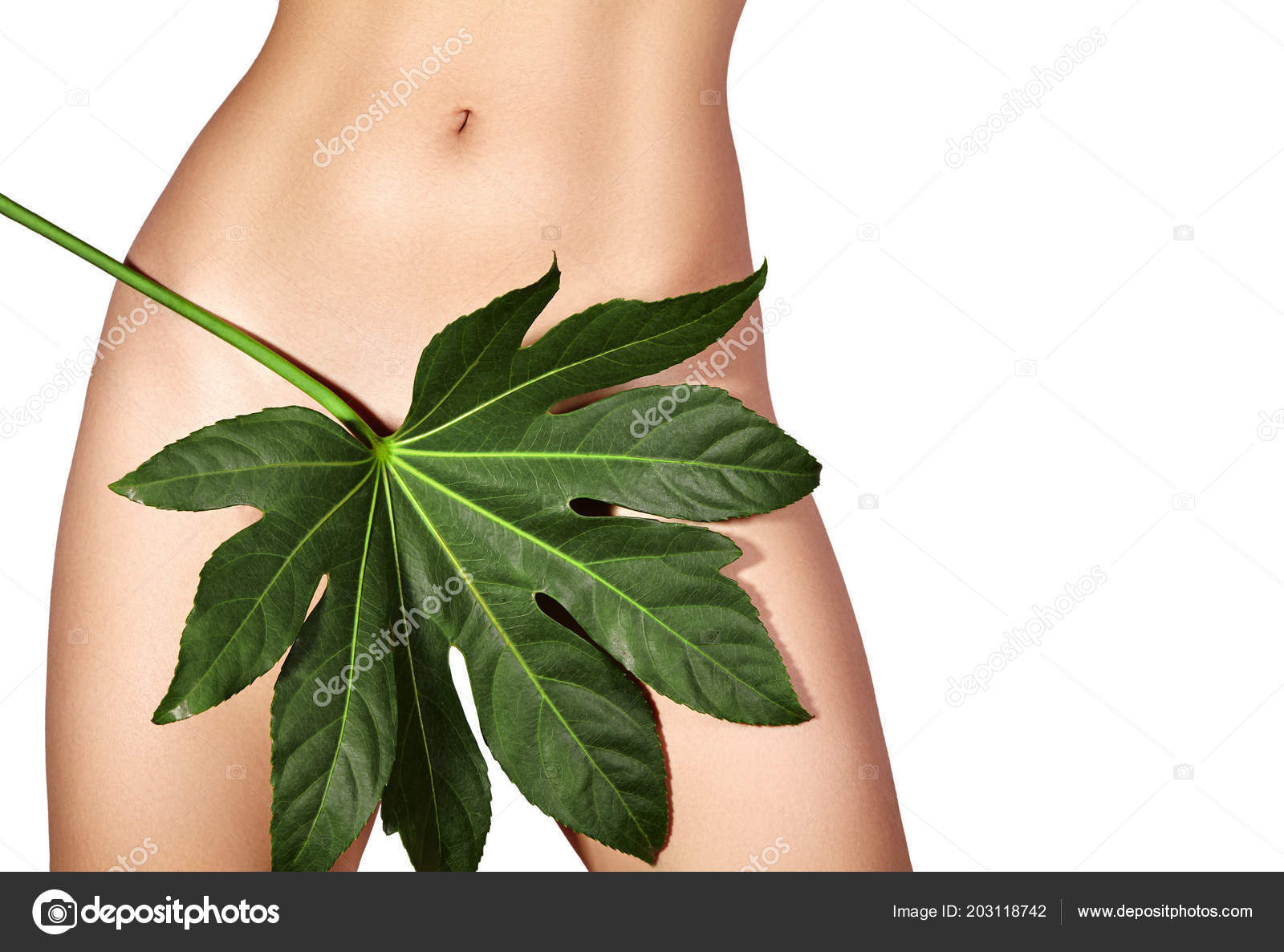 Black hair removal bikini line think Black hair removal bikini line amusing message