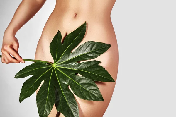 Vaxning För Vacker Kvinna Brasilianska Laser Hår Borttagning Bikini Linje — Stockfoto