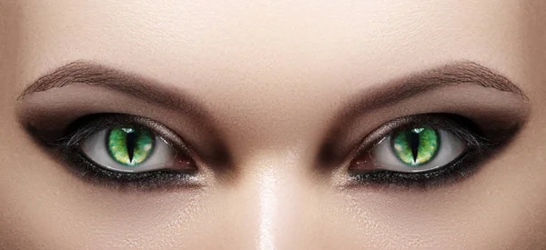 Close Woman Eyes Halloween Makeup Cat Eye Lens Fashion Catwalk — Stock Photo, Image