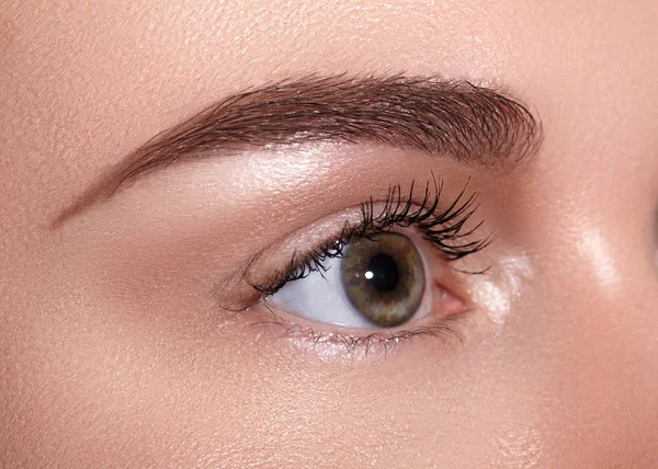 Primer Plano Macro Hermoso Ojo Femenino Con Cejas Forma Perfecta — Foto de Stock