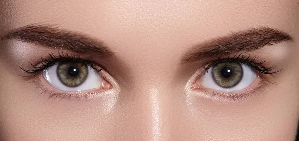 Közeli makró gyönyörű női szemek tökéletes alak szemöldöke. Tiszta bőr, divat Naturel make-up. Jó látás — Stock Fotó